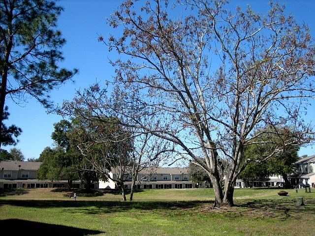 View from Patio