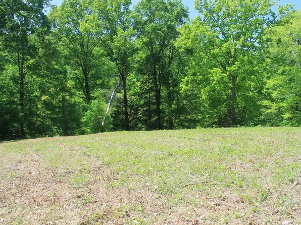 0 Rhodes Rd, Dandridge, TN 37725