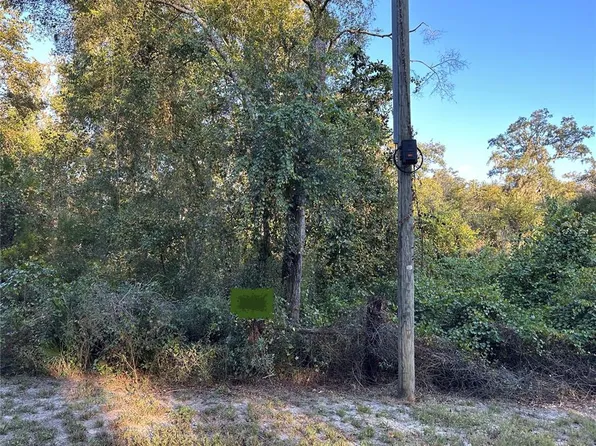 Ooo Southeast St #923, Old Town, FL 32680