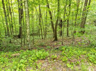 65 Bee Tree Ln, Mars Hill, NC 28754