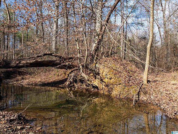 5th image of 0 Red Hill Rd #15