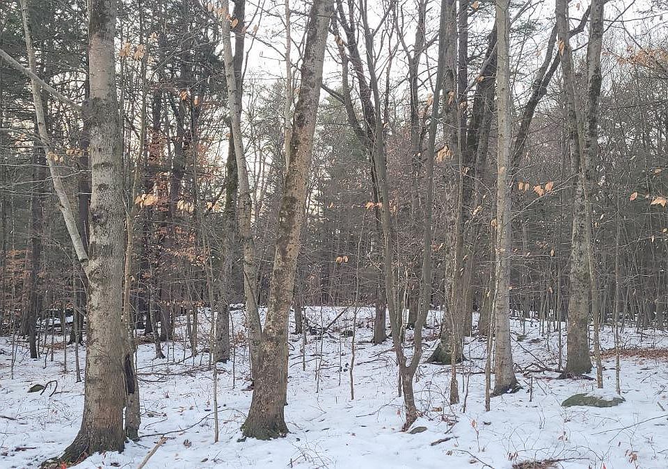 1st image of 18 High Acres Lane (rd)