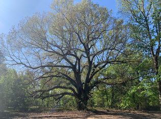 3808 Orianna Rd, Soperton, GA 30457