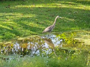 59A Gibson Rd, Asheville, NC 28804