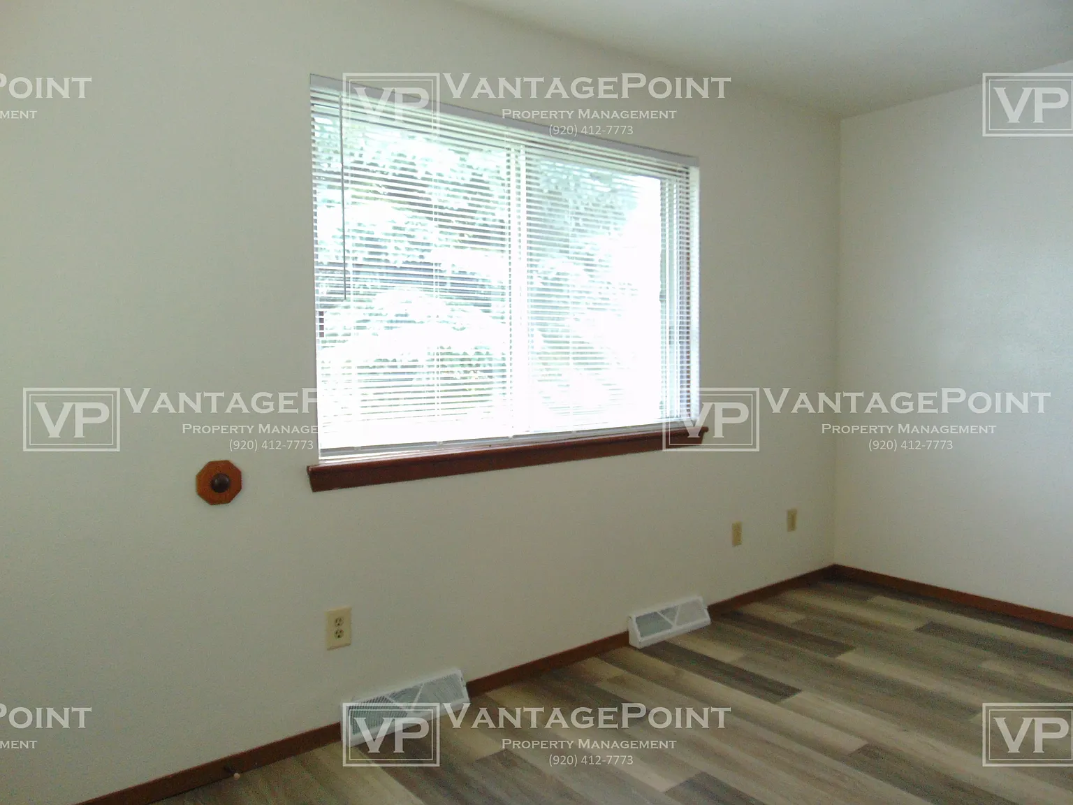 854 - 856 Martin Street - 856 — Photo 4
