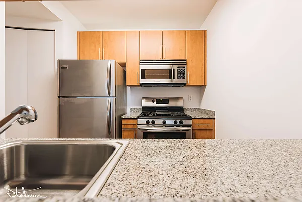 Rented by Platinum Forbes Global Properties | media 6