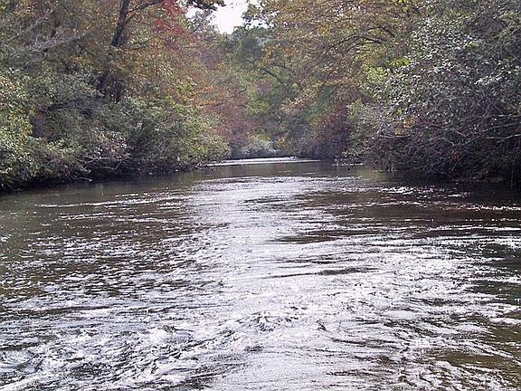 Chestatee River 1000+ Feet