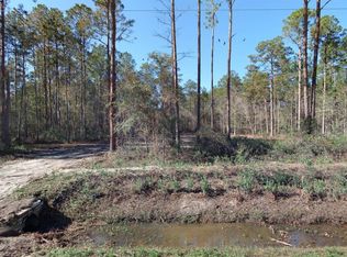 10695 Flikkema Ave, Hastings, FL 32145