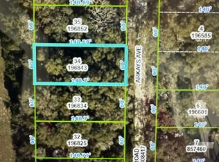 34 Arkays Ave, Spring Hill, FL 34609