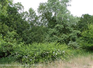 0 White Birch Trl, Charlotte, MI 48813