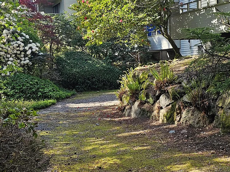 Tanglewood — Photo 6