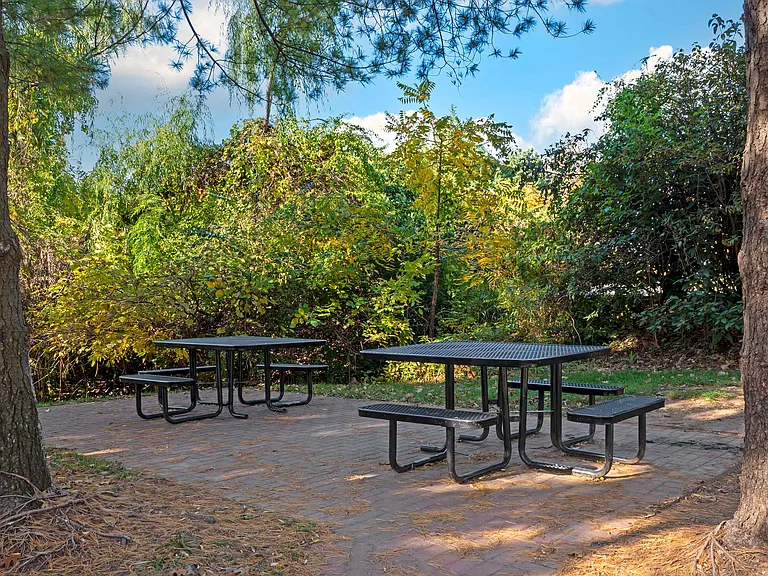 Picnic Area