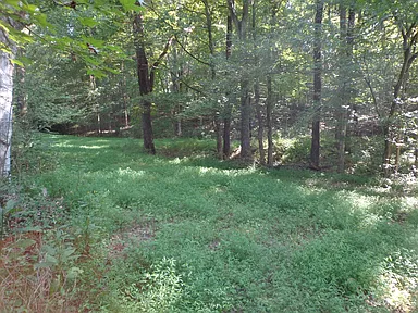 Property photo 57