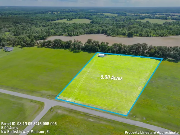 0 NW Buckskin Way, Madison, FL 32340