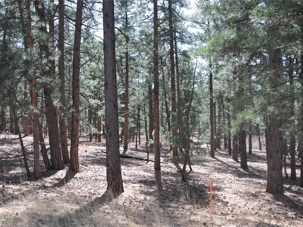 Wood Sorrel Rd, Larkspur, CO 80118