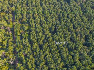 TRACT 19 County Road 4224, Frankston, TX