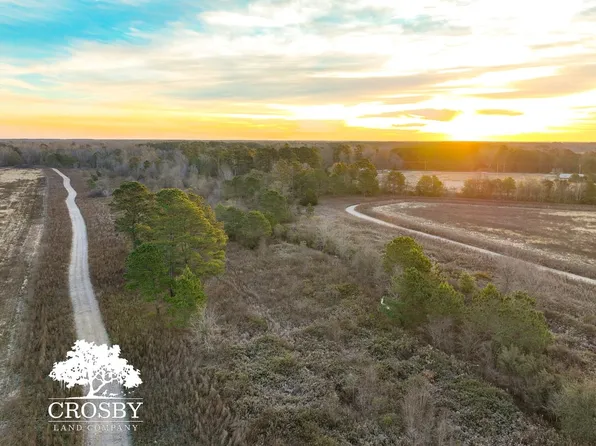 0 Reverend Jw Carter Rd, Manning, SC 29102