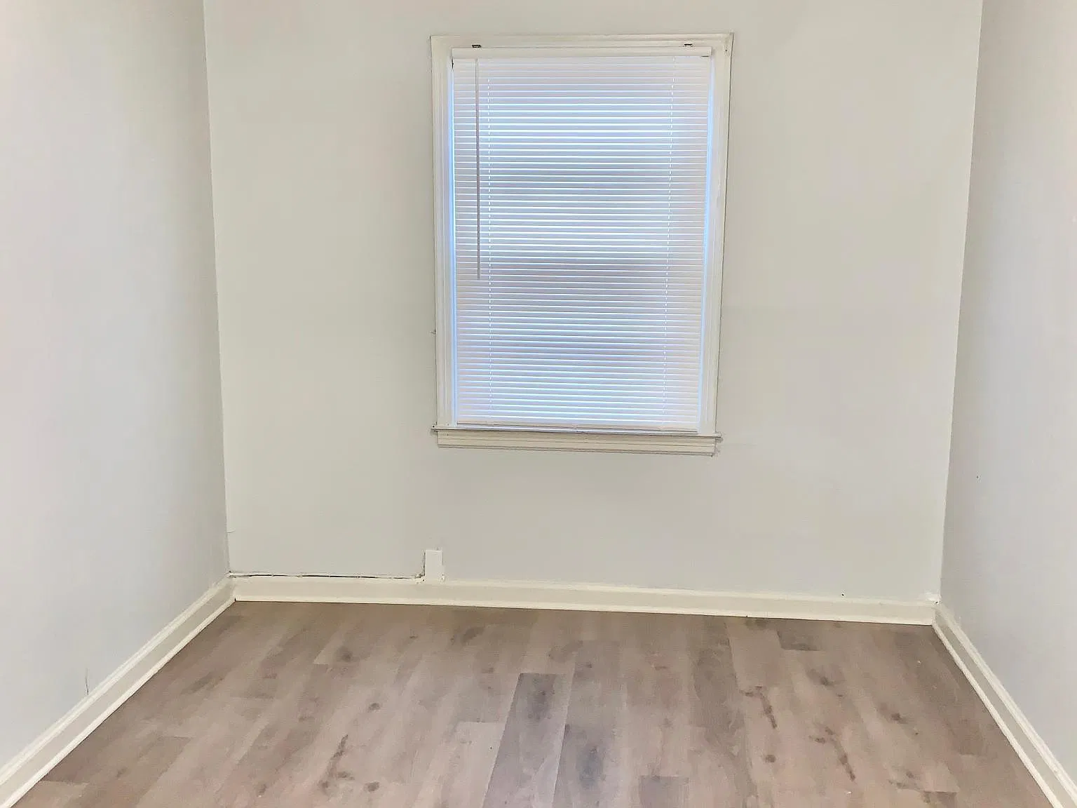 164 Stuart Ave — Photo 4