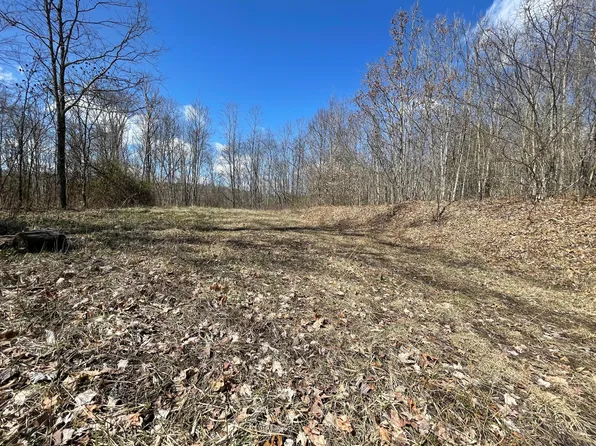 0 Bracken Creek Rd, Nallen, WV 26680