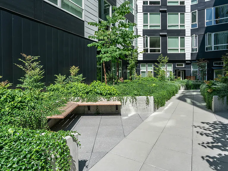 Lush Courtyard