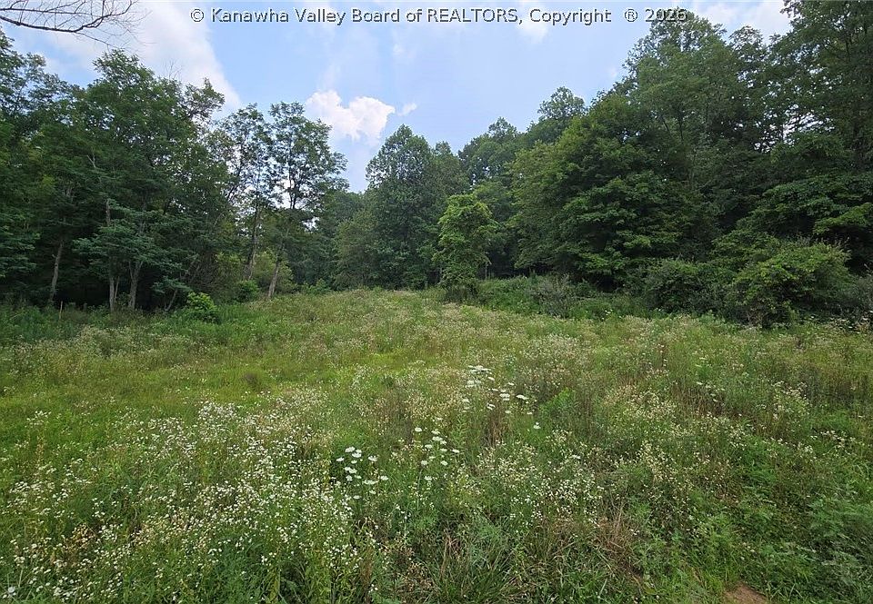 2nd image of 679 Burnems Run Rd