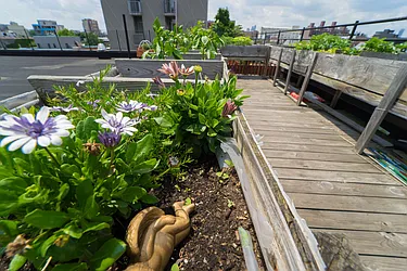 Rented by Manhattan Management LLC