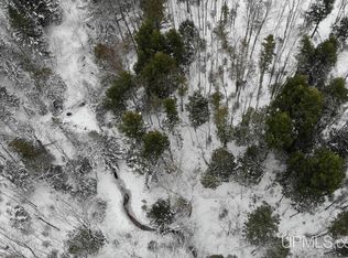 Tbd44 Yellow Rd, Nisula, MI 49952