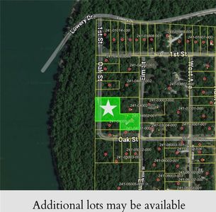 18655 N Elm St, Lead Hill, AR, 72644