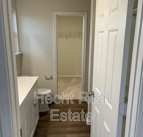 451 Forsythia — Photo 36