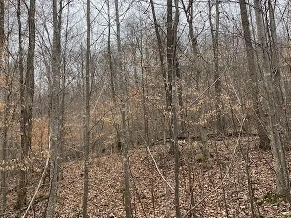 TRACT 15 River Rd Tract 15, Decatur, TN 37322