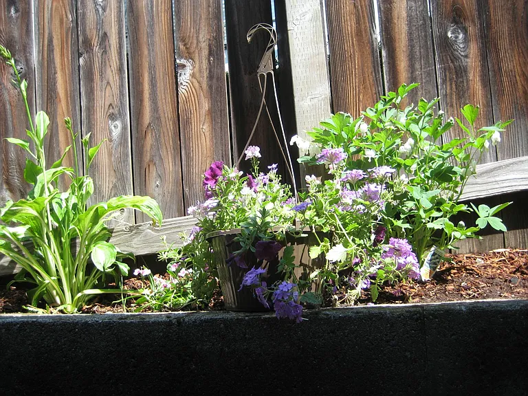 2028 14th Ave W #D — Photo 3