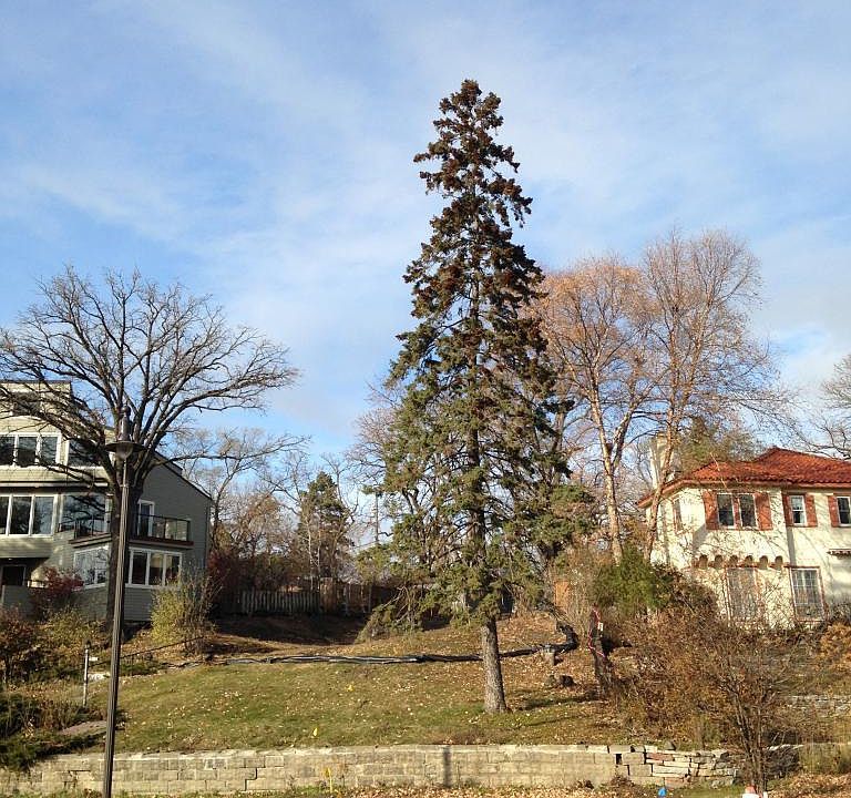 2nd image of 3500 22nd St W