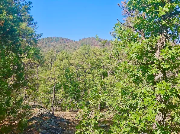 29 County Road 3199, Vernon, AZ 85940