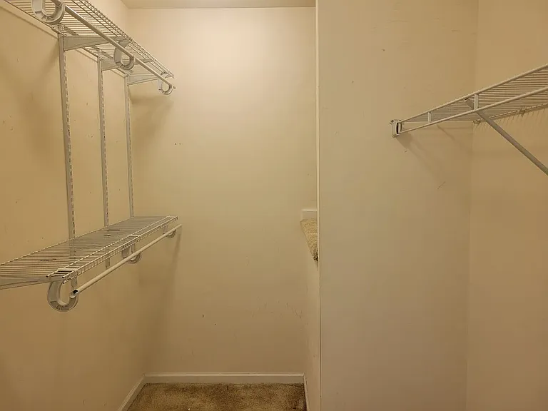 5217 Stream Bank Ln #308J — Photo 11