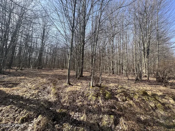LOT 394 Snowshoe Cir, Lake Ariel, PA 18436