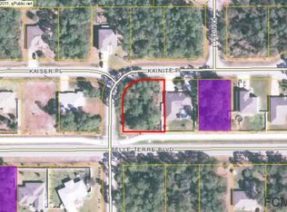 2 Kainite Pl, Palm Coast, FL 32164