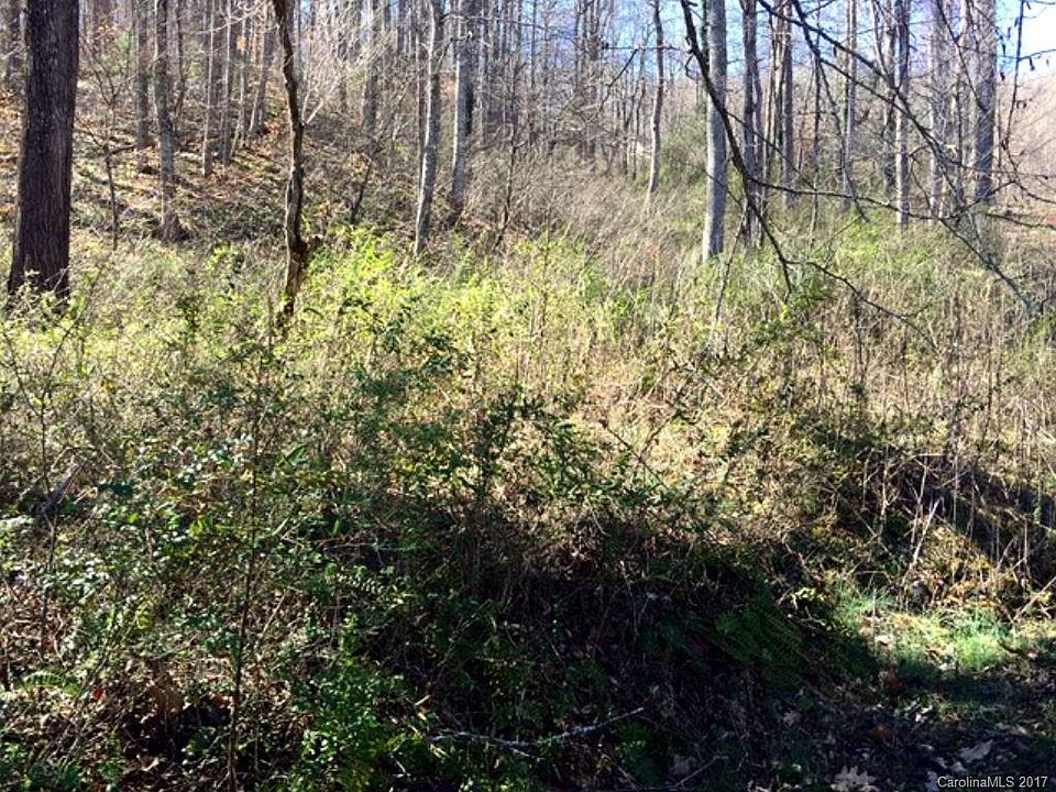2nd image of 0 Grapevine Ln