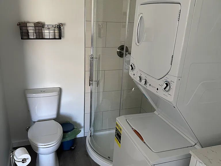 Washer and dryer shower