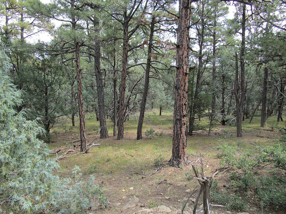 1st image of 33024 Ponderosa Ridge Dr