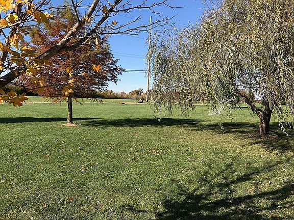 20+ mature trees, level lot