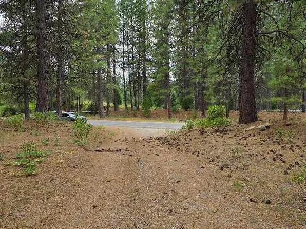 2 Haul Rd, McCloud, CA 96057