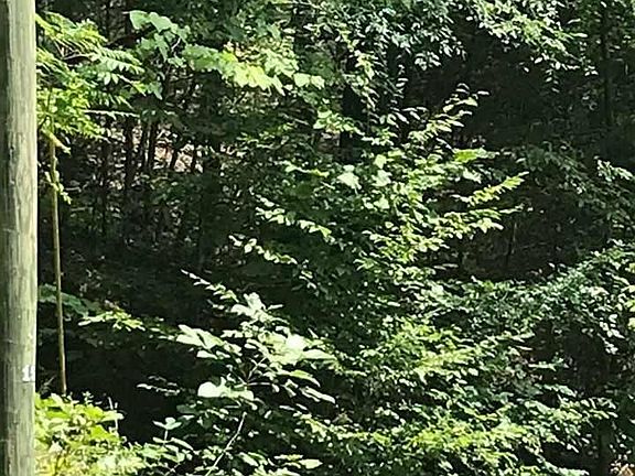 2nd image of 0 Estate Dr Lot 17-18
