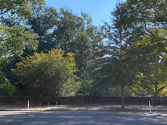 Sold by Corcoran | media 5