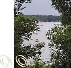 4th image of 16431 Geneva Dr
