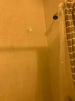 Rented by PD Properties LLC | media 9