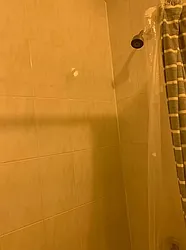 Rented by PD Properties LLC