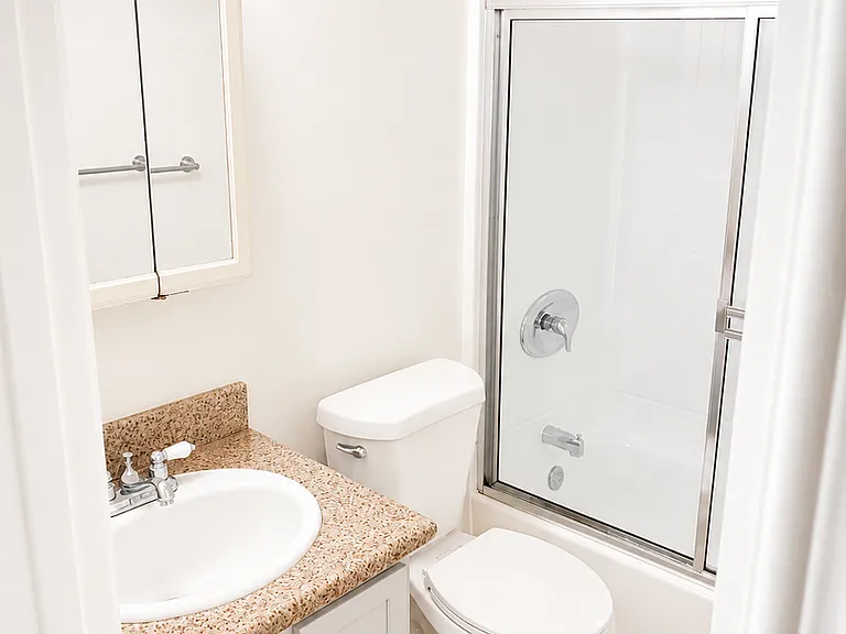 1386 E Madison Ave #17 — Photo 19