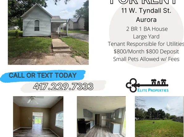 11 W Tyndal St, Aurora, MO 65605