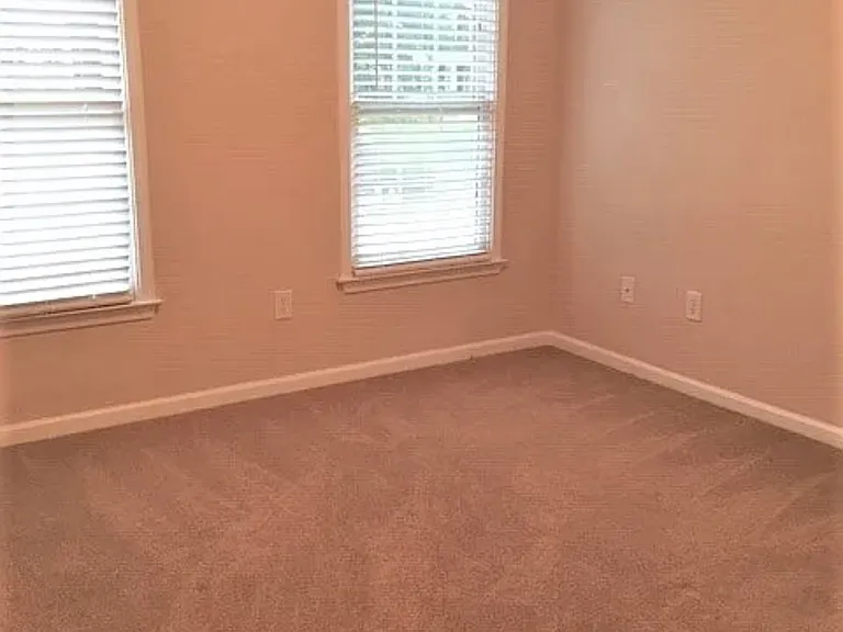 9005 Forest Path Dr — Photo 8