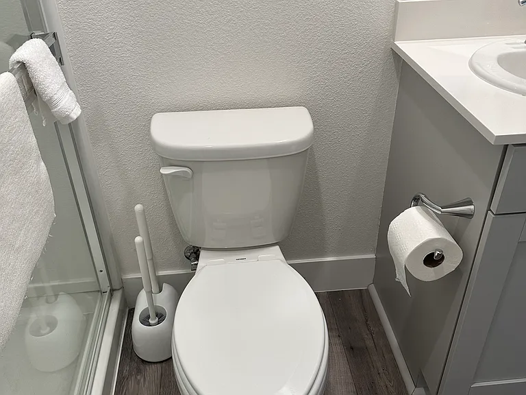 Downstairs bathroom